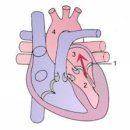 강앤정동물병원 이미지