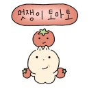 카페콩 이미지