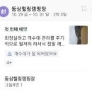 동상 힐링 캠핑장 이미지