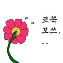 육육곱창 이미지