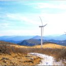 풍차 화장실 이미지