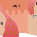 더원외과