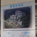빨라쪼보라매