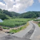 귀농공인중개사사무소 이미지