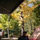 미산가족오토캠핑장 이미지