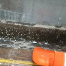 칠성세탁소 이미지