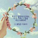 일등개발