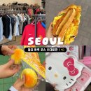 동묘 하루 코스 완벽 정리 말랑이 구제 의류 빈티지 안경 토스트 투어