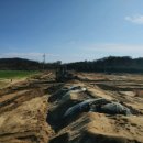 축동농장 이미지