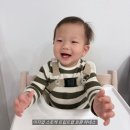 이지트립 | 스토케 트립트랩 하네스 호환 이지업 이지벨트/사용후기, 단점, 트립트랩 탈출하는 아이 추천