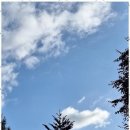 동행(파트너) 행정사사무소 | 원주민원상담 원주에서 신뢰받는 동행, 벧엘행정사사무소