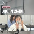 승현커텐 | 제이가빈헤어 동탄역점, 승현 디자이너와 퍼스널 상담 후 여름 히피펌 후기