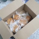 움찬태권도 이미지