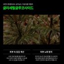 뱅상판두 이미지