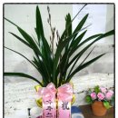 파코엔지니어링 이미지