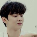 청춘담아 이미지