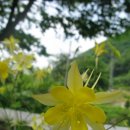 약수탕주차장 이미지