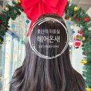 은혜미용실 | [풍산]풍산역 미용실 '헤어온새' 은혜 디자이너 모발크리닉&amp;두피크리닉 후기