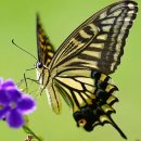 송악어린이집 이미지