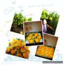 정우네농장 이미지