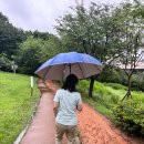 충남 가볼만한 곳/천안 용곡공원, 아산 지산공원 맨발 황톳길