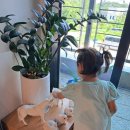 태학산녹색마을 이미지