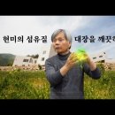 섬유질은 소화가 안 되는 것이 정상입니다. 소화시킬 수 있으면 사람이 아닙니다. 이미지