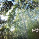 기린원당농협두부조합공동사업법인 | 기린원당농협두부 조합공동사업법인 홍보영상