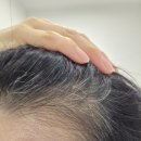 중앙지하상가 4번입구 | 송파역 미용실 에이치플레이스 송파헬리오시티점 염색 후기