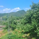 덕산면043 이미지