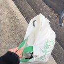 호주세탁소 이미지