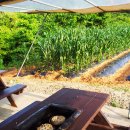 밧개오션텔 이미지