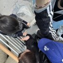 신반점 - 서구 염곡로 242 | 3삼한 학교생활은 언제쯤~