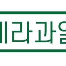 세라과일