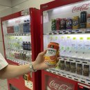 신논현역 족발 오마카세_완미족발 논현본점 방문후기,조용하고 정원이 있는 카페_더 달달