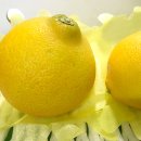 참좋은몰 이미지