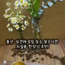 삼산로 352번길 이미지
