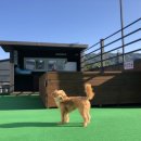 투독플레이스 이미지