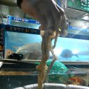 은빛바다회타운