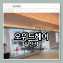 박쌤헤어 - 아산시 | [일산남자머리] 잘하는 곳 나에게 딱 맞는 스타일로 변신! 일산 오위드헤어 세화원장님 컷트+다운펌 후기