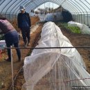 해뜬농장 이미지