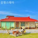 강청마을회관 네이버블로그