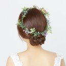 바이라 이미지