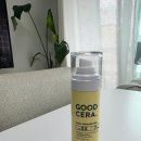 굳세라 | 홀리카홀리카 굳세라 미스트, 내돈내산 후기