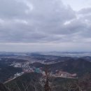 태봉농장1 Daum카페