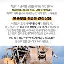 성일여관 이미지