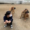 우블리미 | 2022년 6월 #2 [p-log | 주말나들이| 네스프레소 신상캡슐| 평양냉면 맛집 '을밀대'| 을지로카페 '적당...