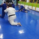 용인대 청룡유도관 이미지