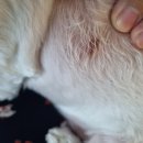 뉴케어 동물병원 이미지