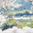 민생 행정사사무소 이미지